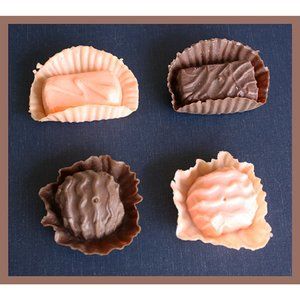 rare lot of 4 realistic brown and pink chocolates refrigerator magnets
